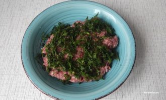 Укроп с мясным фаршем