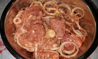 Маринад для шашлыка из интдейки