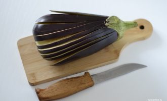 Баклажан веером
