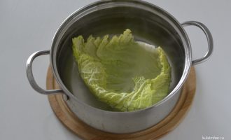 Лист савойской капусты