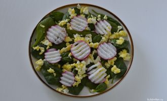 Шпинат и редис